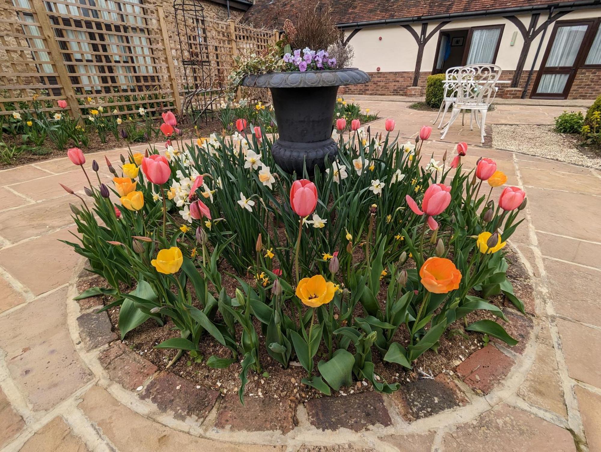 Kingfisher Barn B&B Abingdon-on-Thames Zewnętrze zdjęcie